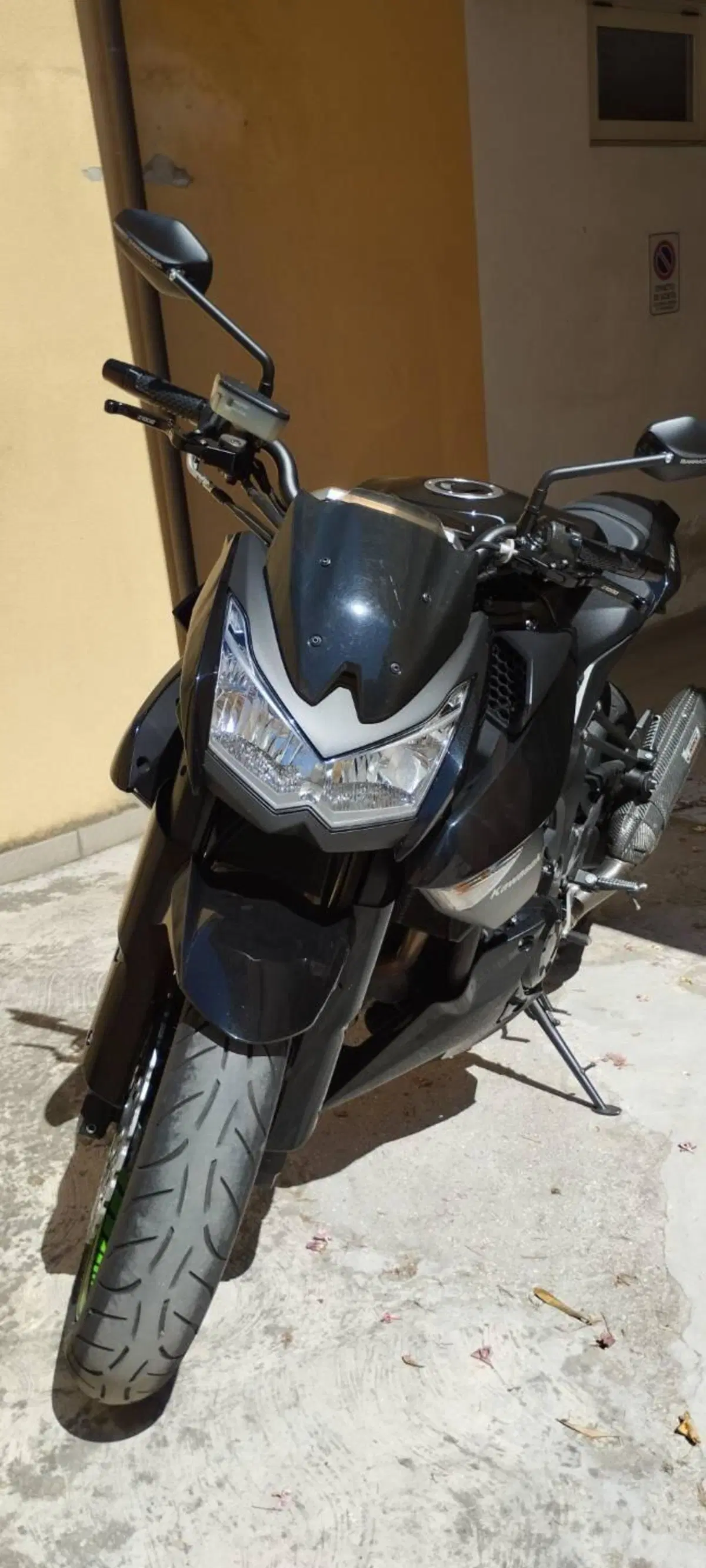 Kawasaki Z 1000 (2010 - 13) (7)