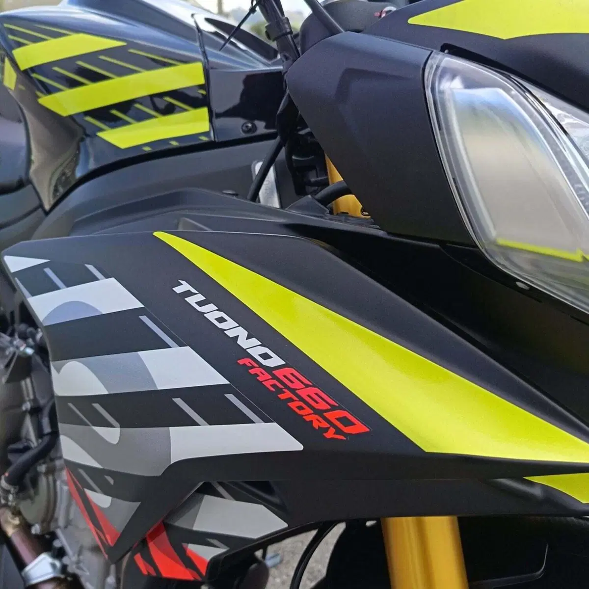 Aprilia Tuono 660 Factory (2025 - 26) (5)