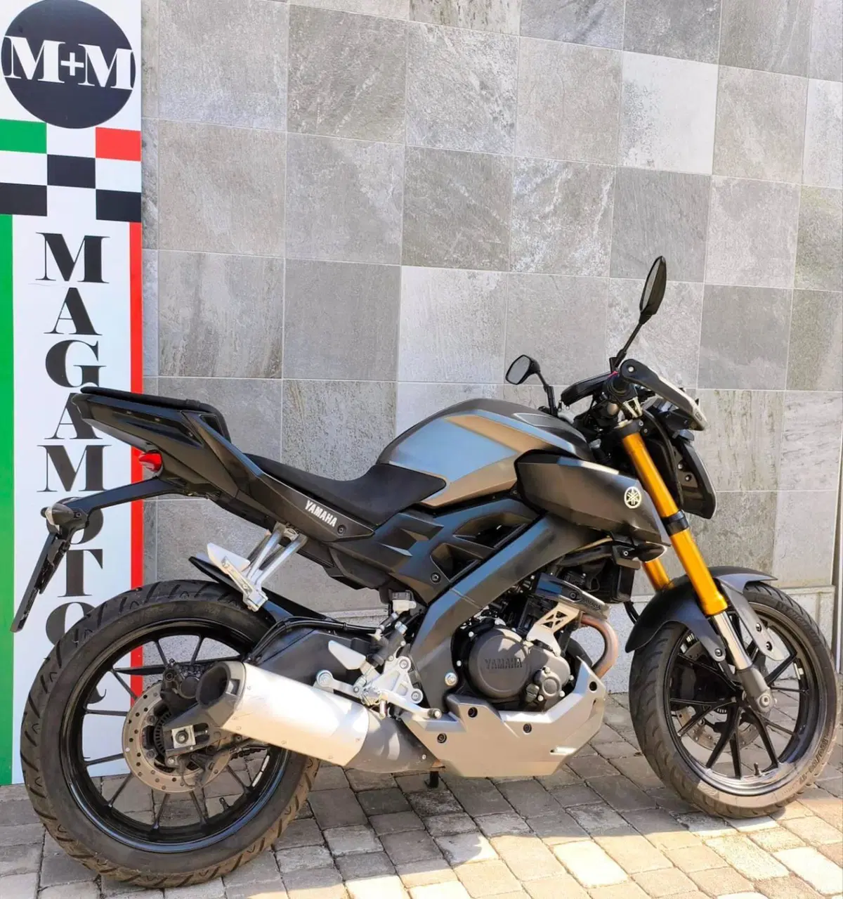 Yamaha MT-125 ABS (2015 - 16) (3)