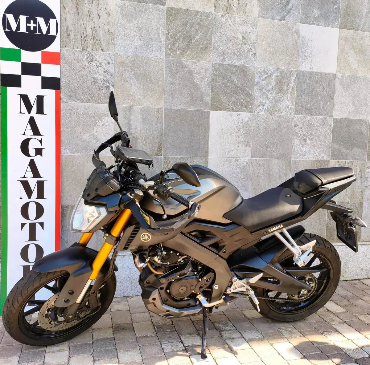 Yamaha MT-125 ABS (2015 - 16) (8)
