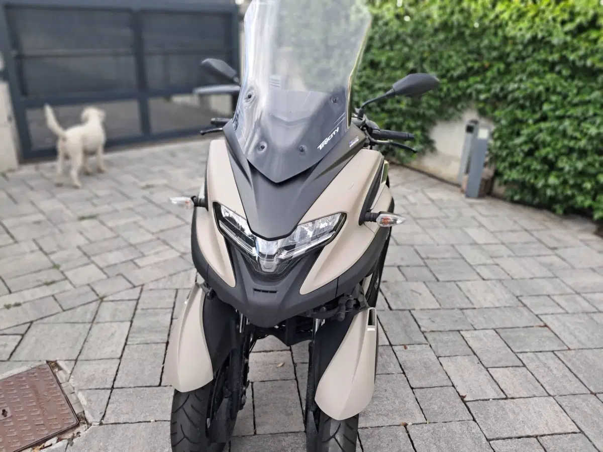 Yamaha Tricity 300 (2021 - 24) (4)