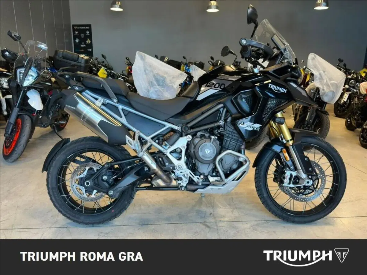 Triumph Tiger 1200 Rally Pro (2022 - 23)