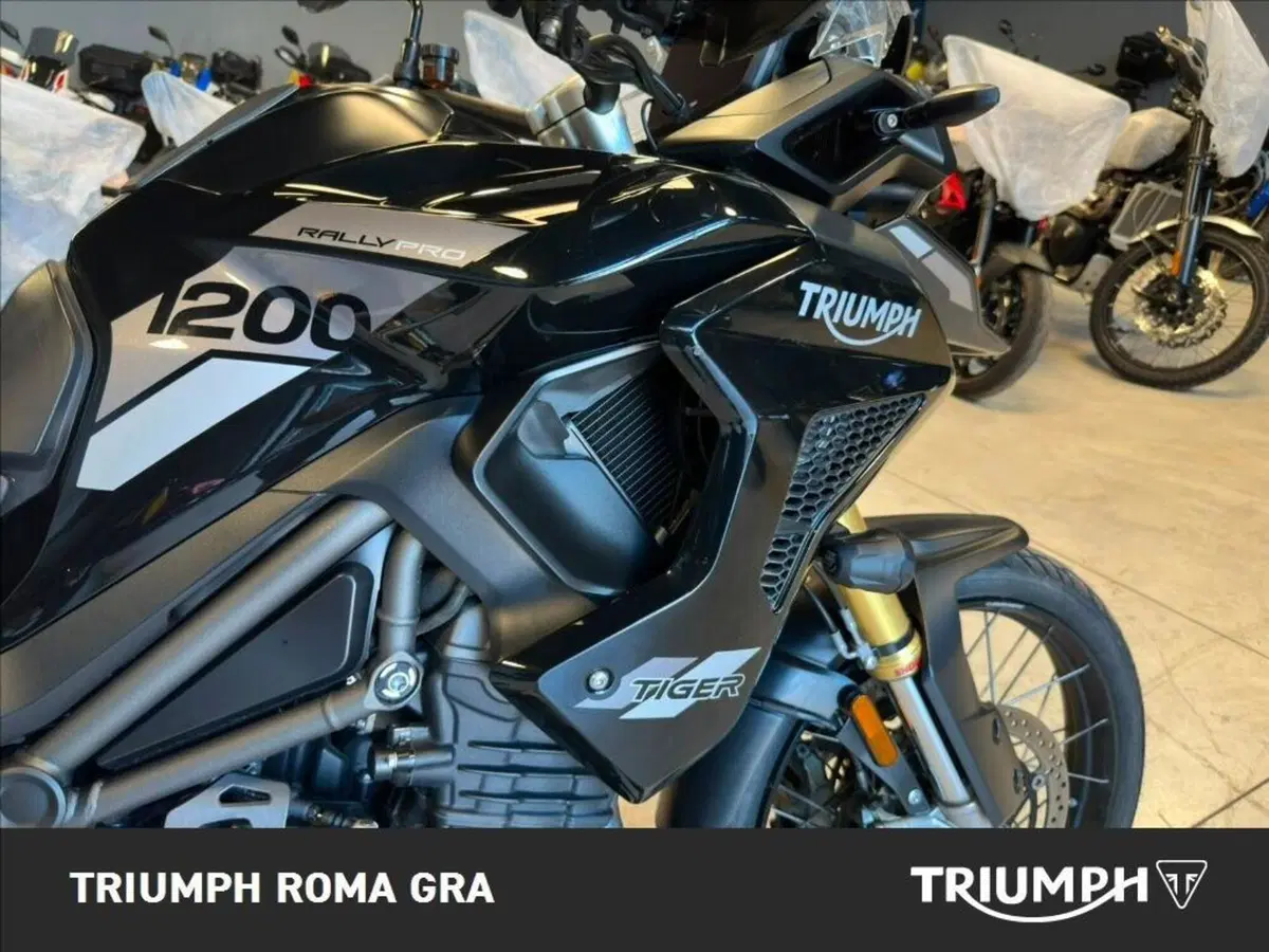 Triumph Tiger 1200 Rally Pro (2022 - 23) (7)