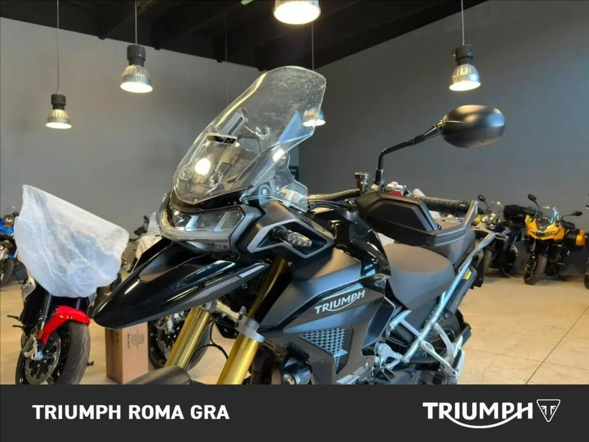Triumph Tiger 1200 Rally Pro (2022 - 23) (13)
