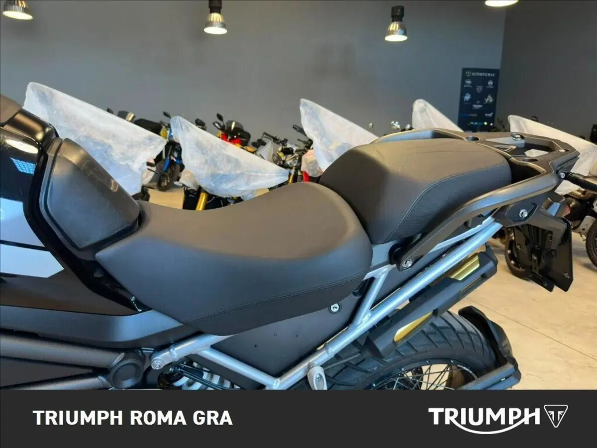 Triumph Tiger 1200 Rally Pro (2022 - 23) (10)