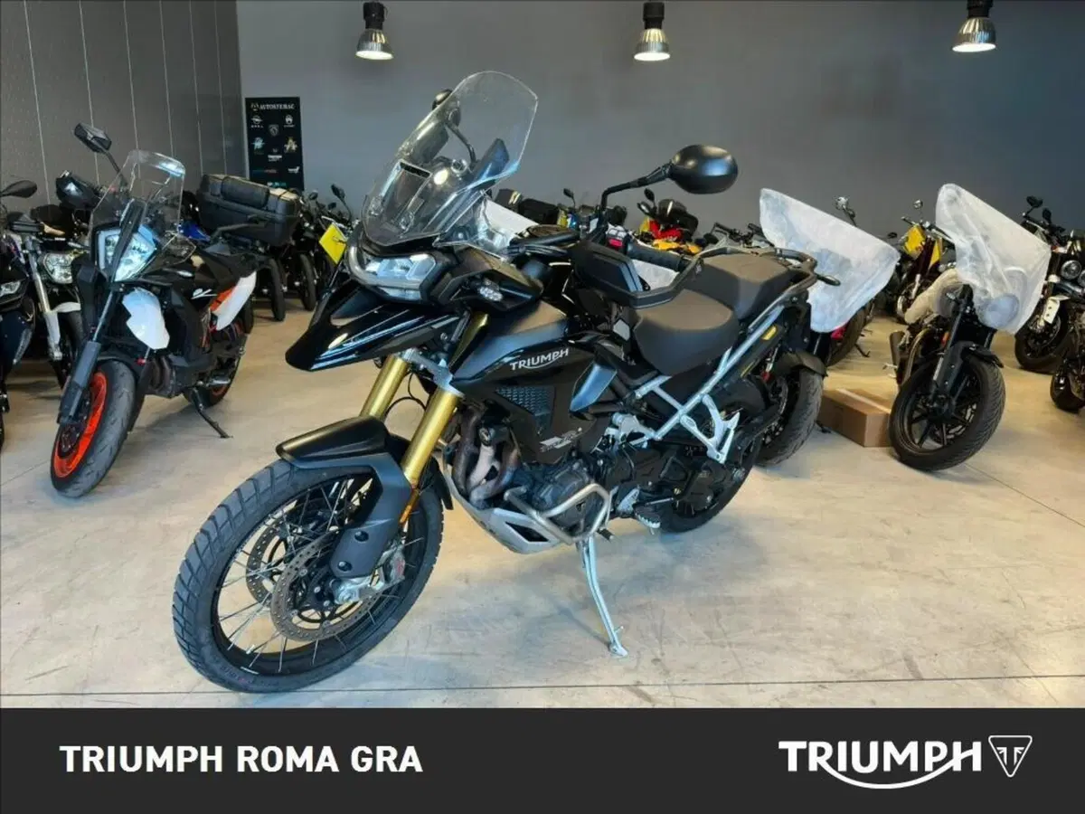 Triumph Tiger 1200 Rally Pro (2022 - 23) (2)