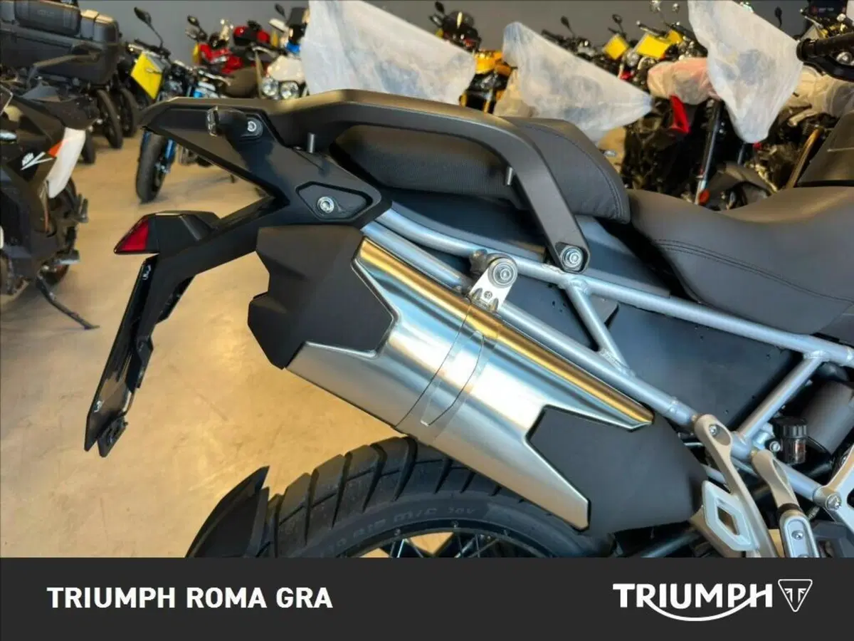 Triumph Tiger 1200 Rally Pro (2022 - 23) (5)