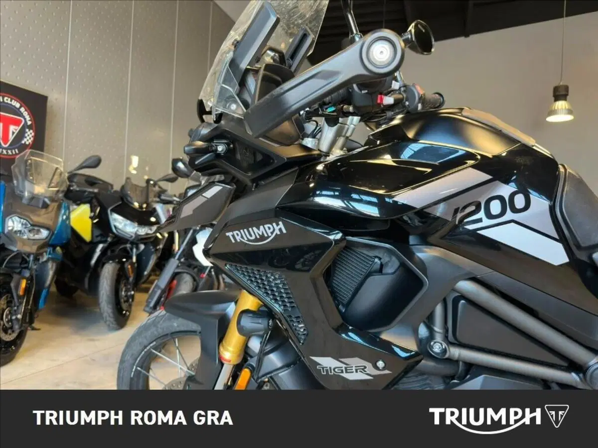 Triumph Tiger 1200 Rally Pro (2022 - 23) (8)