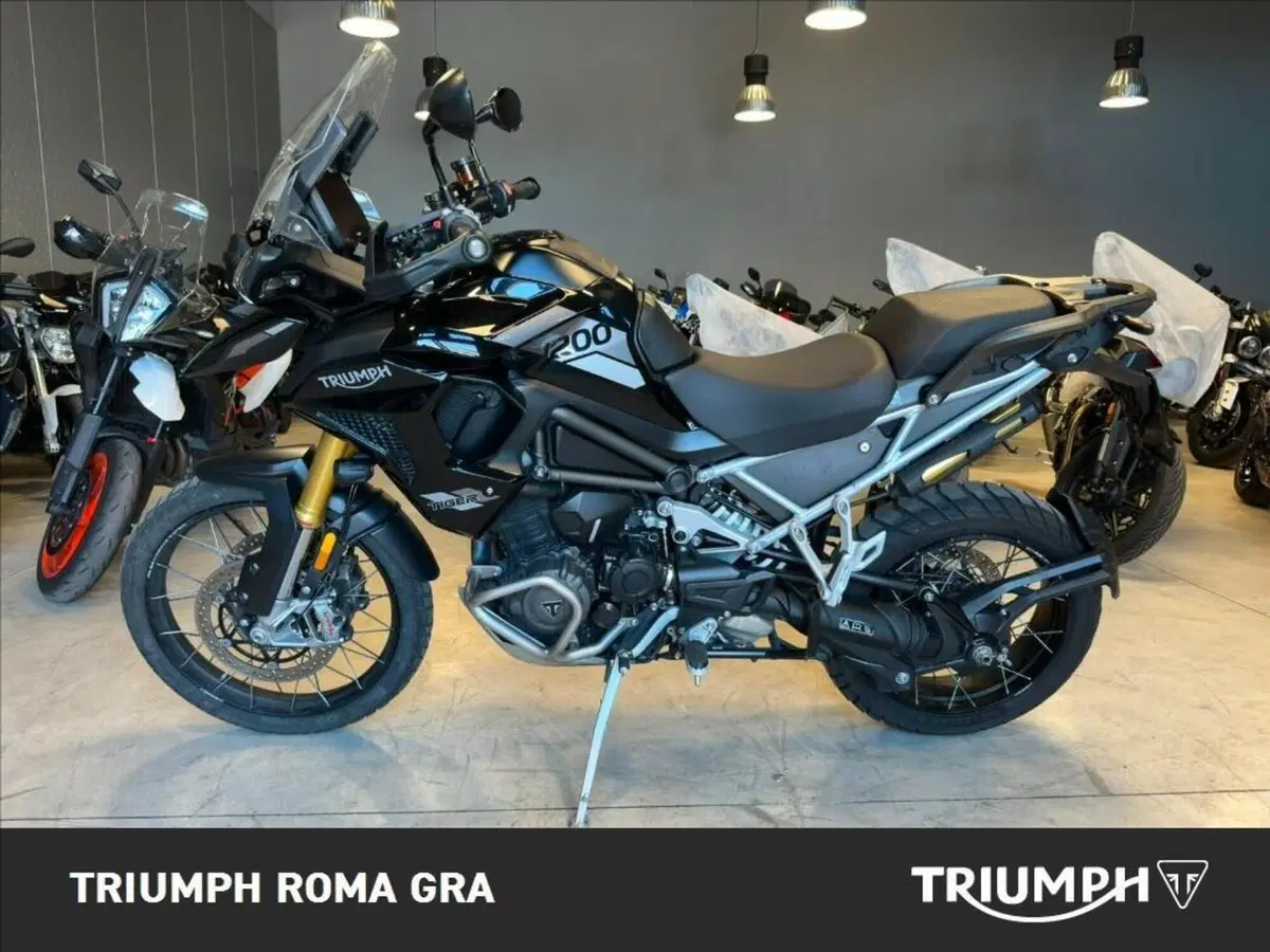 Triumph Tiger 1200 Rally Pro (2022 - 23) (3)