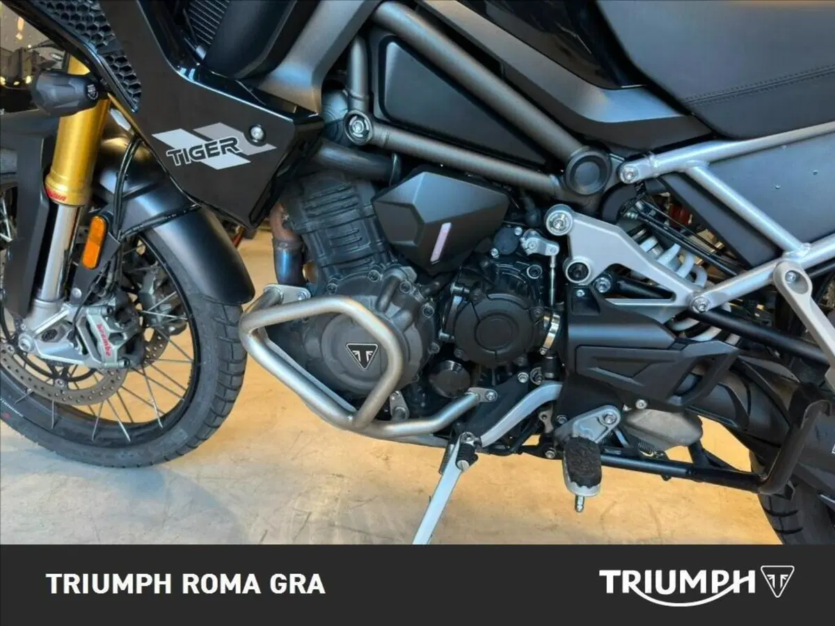 Triumph Tiger 1200 Rally Pro (2022 - 23) (9)