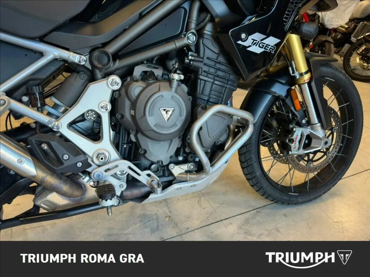 Triumph Tiger 1200 Rally Pro (2022 - 23) (6)