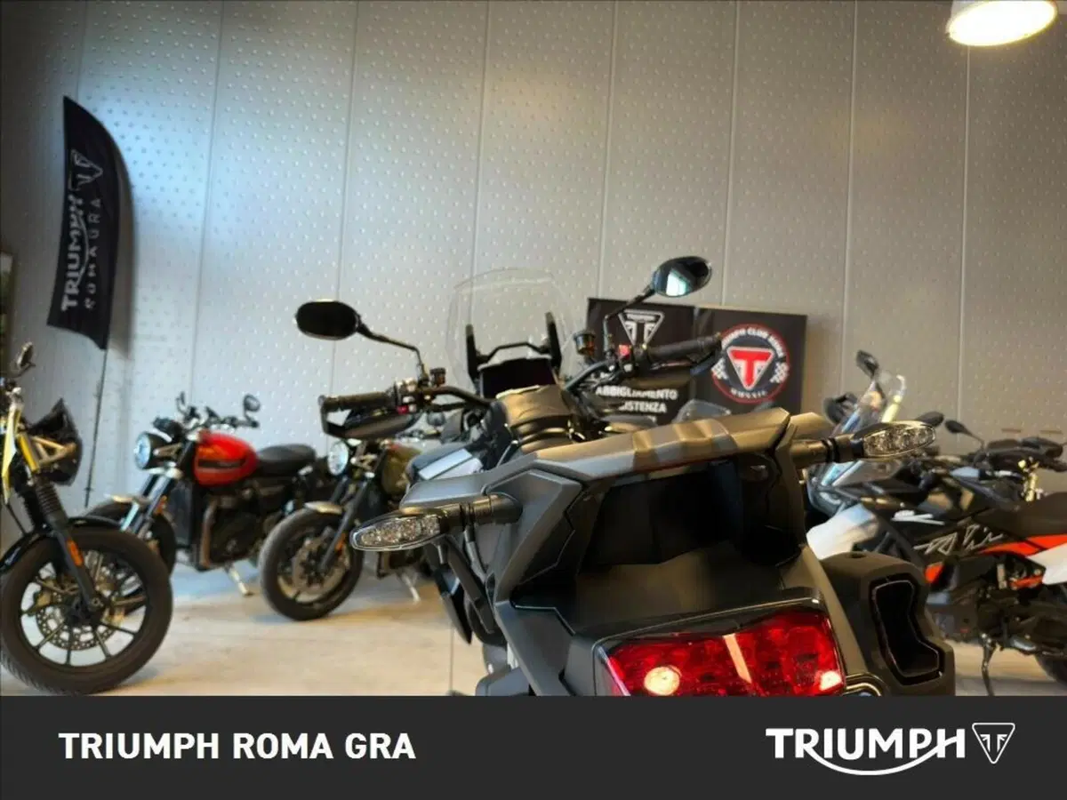 Triumph Tiger 1200 Rally Pro (2022 - 23) (15)