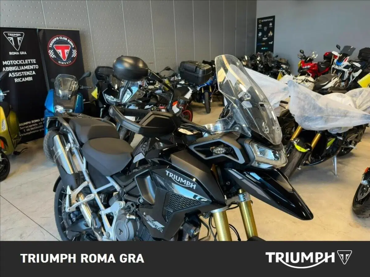 Triumph Tiger 1200 Rally Pro (2022 - 23) (12)