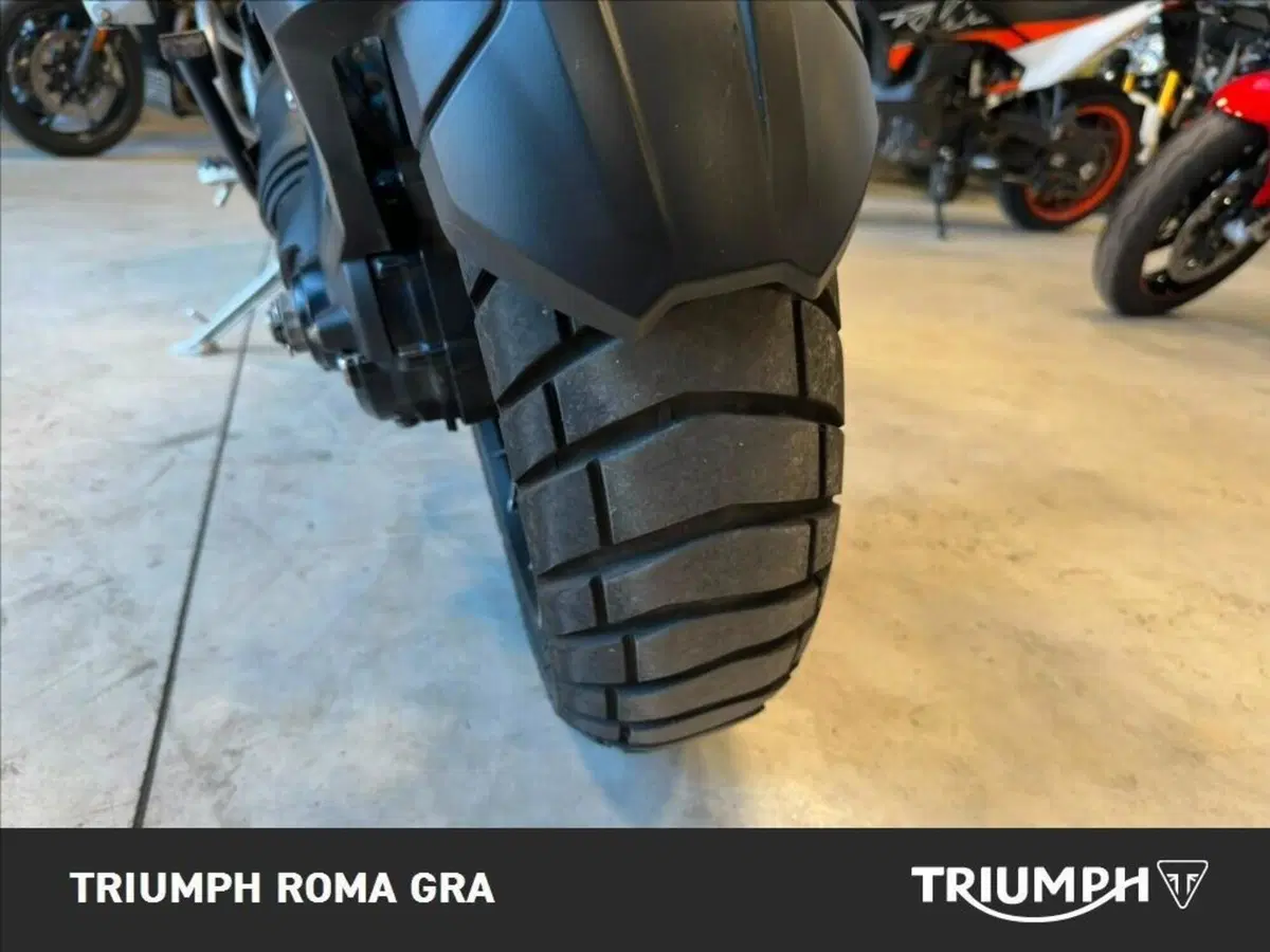 Triumph Tiger 1200 Rally Pro (2022 - 23) (17)