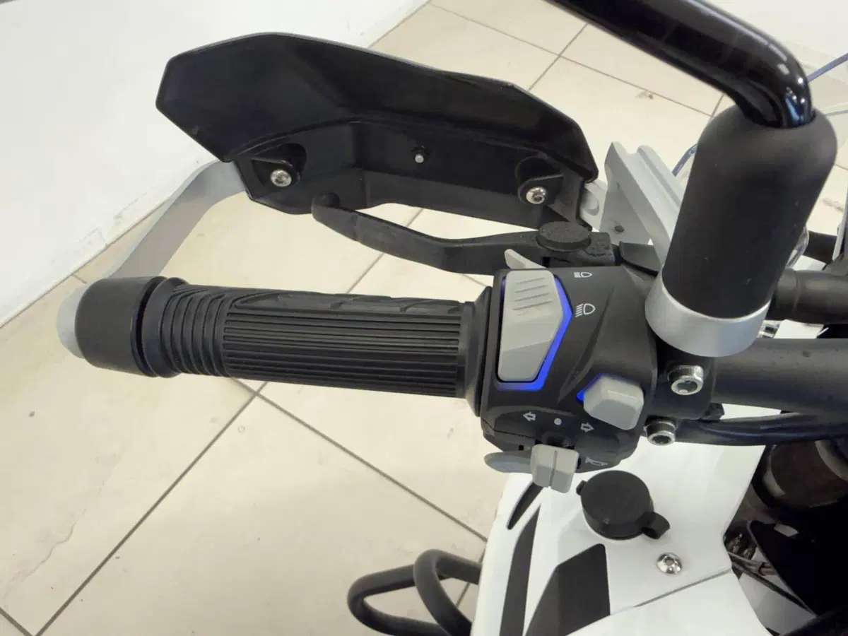 Benelli TRK 502 (2021 - 25) (10)