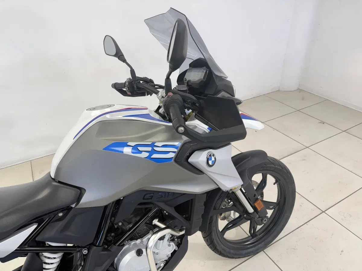 Bmw G 310 GS (2017 - 20) (8)