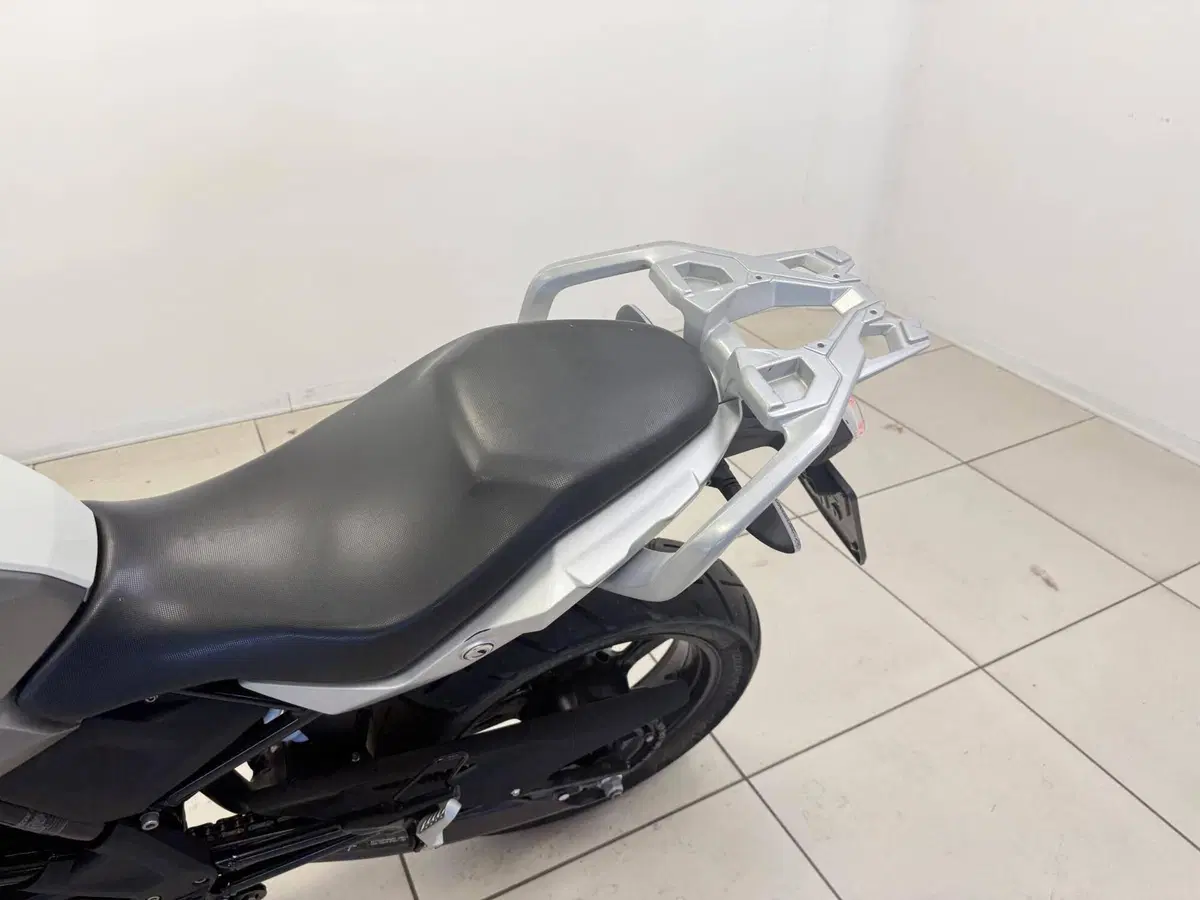 Bmw G 310 GS (2017 - 20) (9)