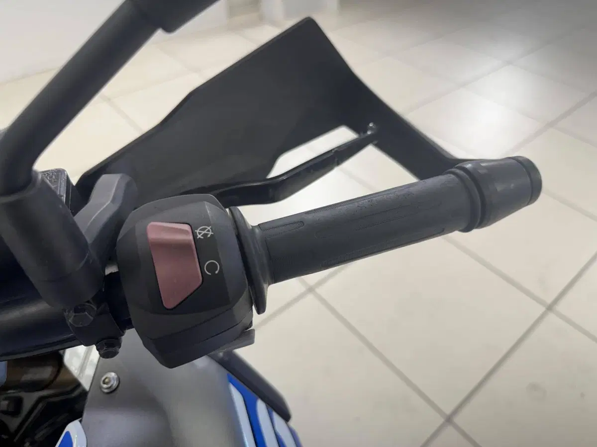 Bmw G 310 GS (2017 - 20) (11)