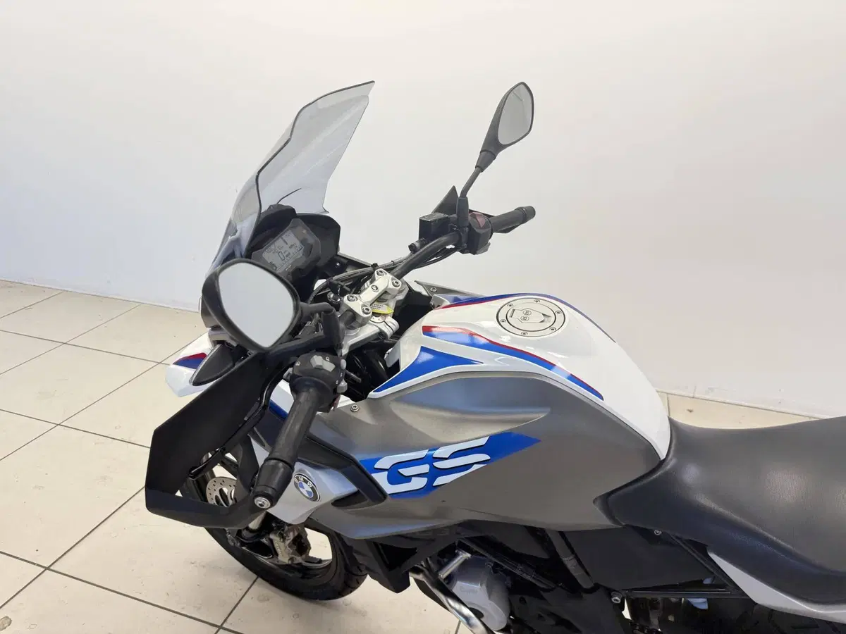 Bmw G 310 GS (2017 - 20) (18)