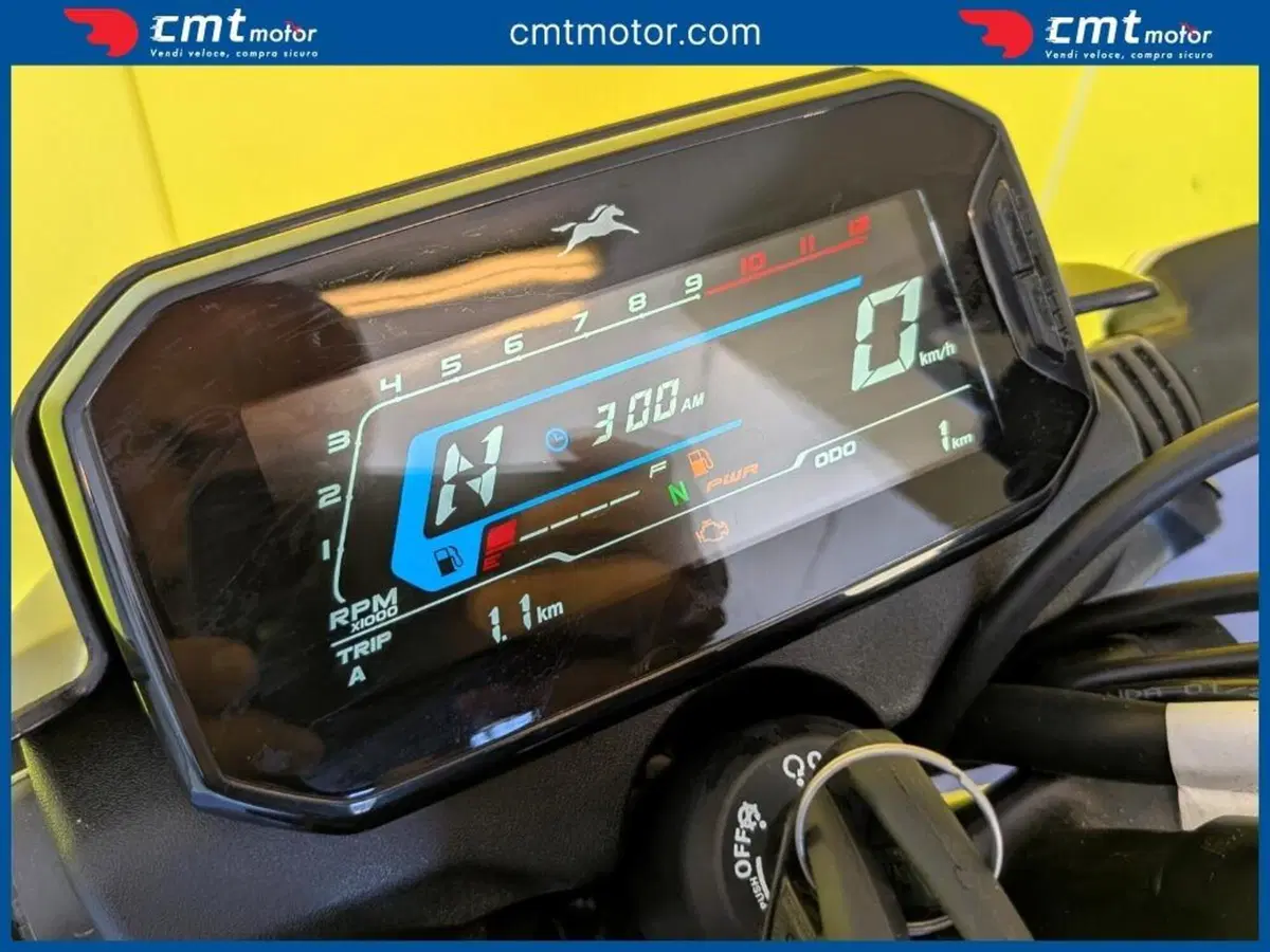 TVS Motor Raider 125 (2024 - 26) (5)