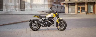 Ducati Scrambler 800 Icon (2025 - 26) nuova