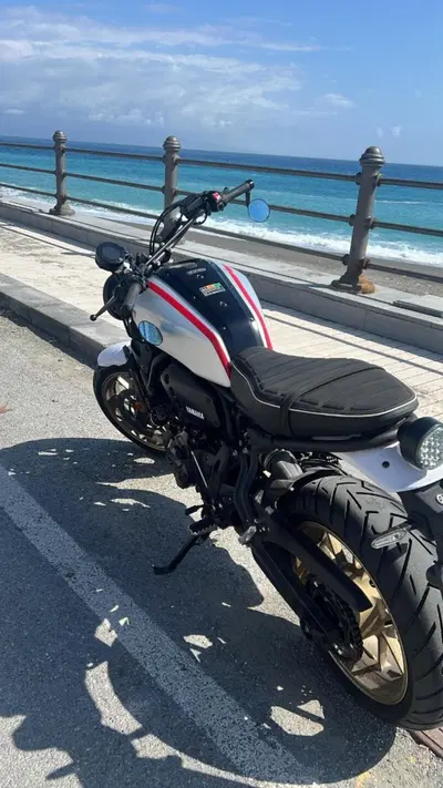 Yamaha XSR 700 XTribute (2022 - 24) usata
