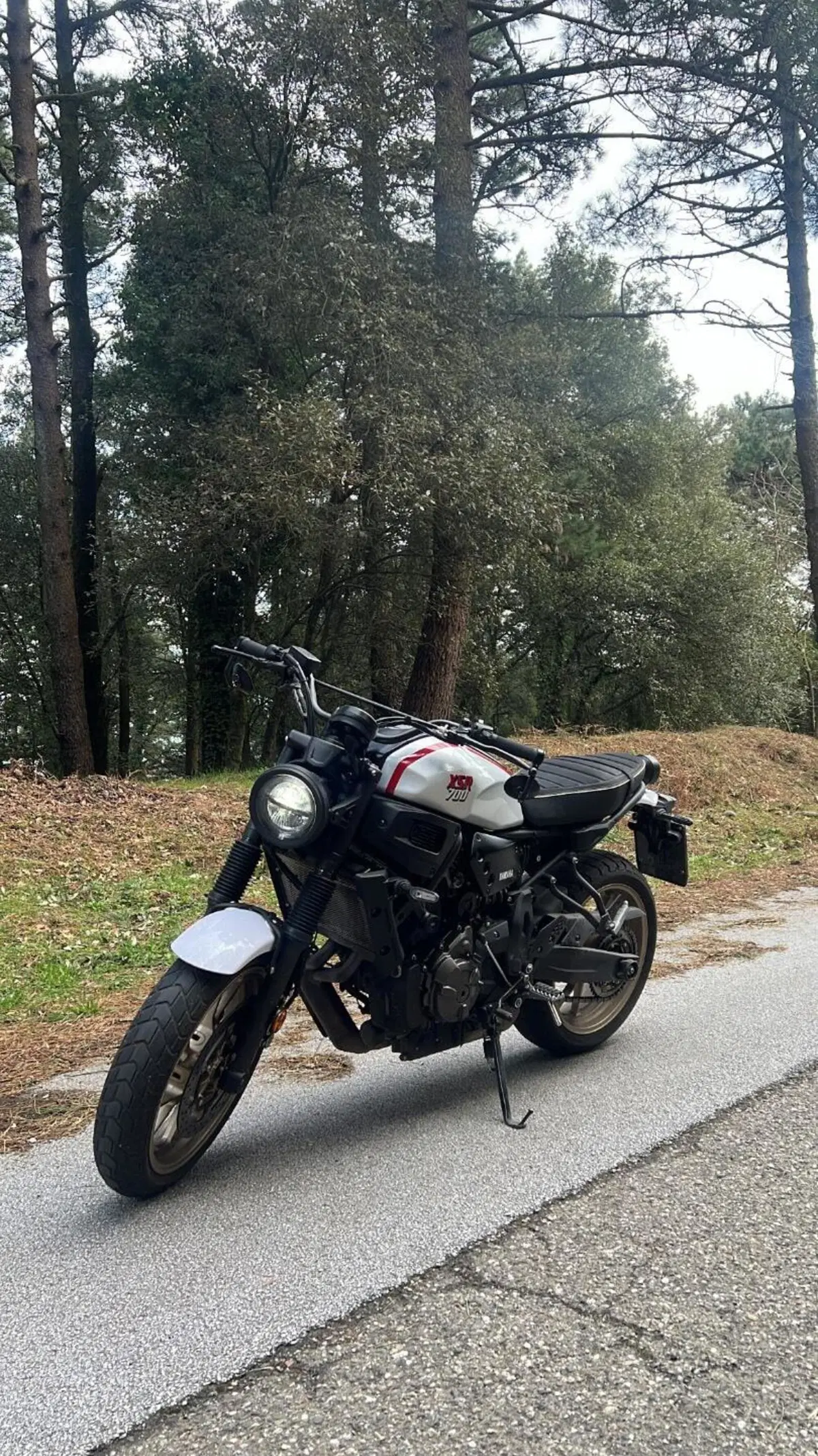 Yamaha XSR 700 XTribute (2022 - 24) (2)