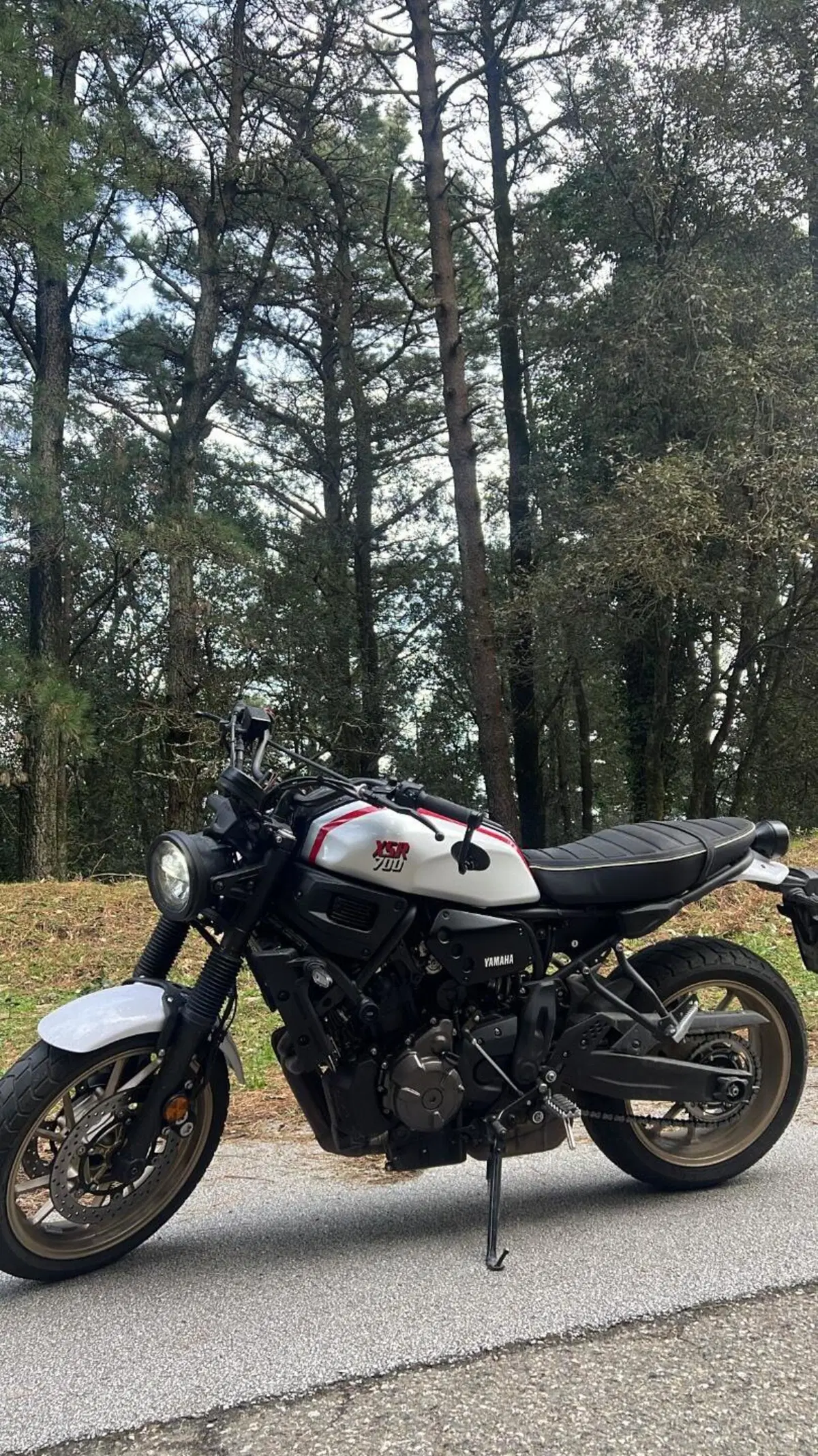 Yamaha XSR 700 XTribute (2022 - 24) (3)