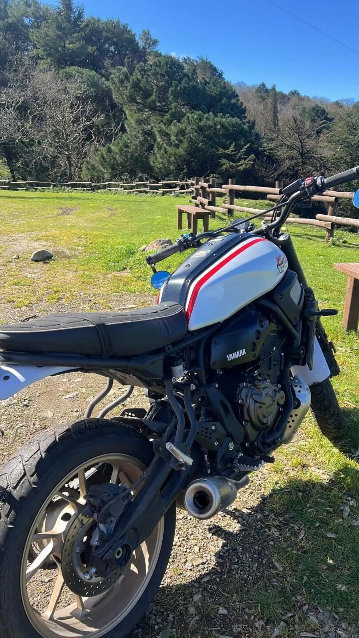 Yamaha XSR 700 XTribute (2022 - 24) (6)