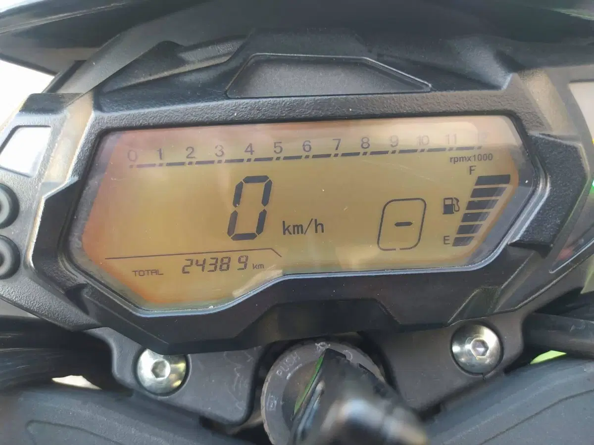 Benelli BN 125 (2021 - 25) (8)