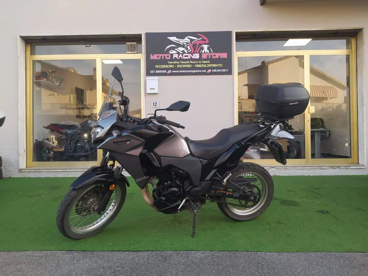 Kawasaki Versys-X 300 (2017 - 20) (4)