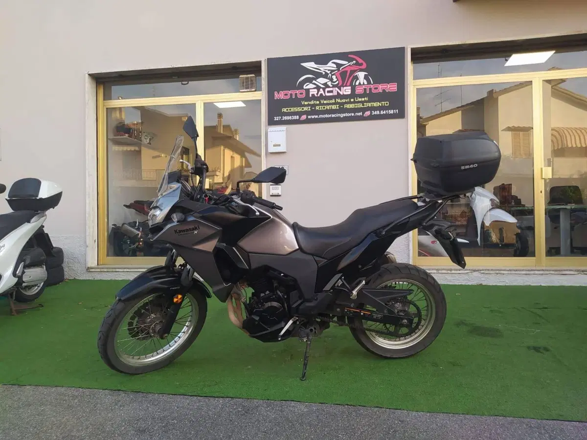 Kawasaki Versys-X 300 (2017 - 20) (6)