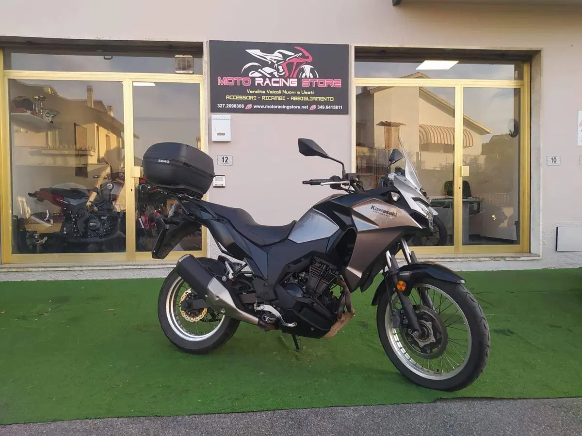Kawasaki Versys-X 300 (2017 - 20) (3)