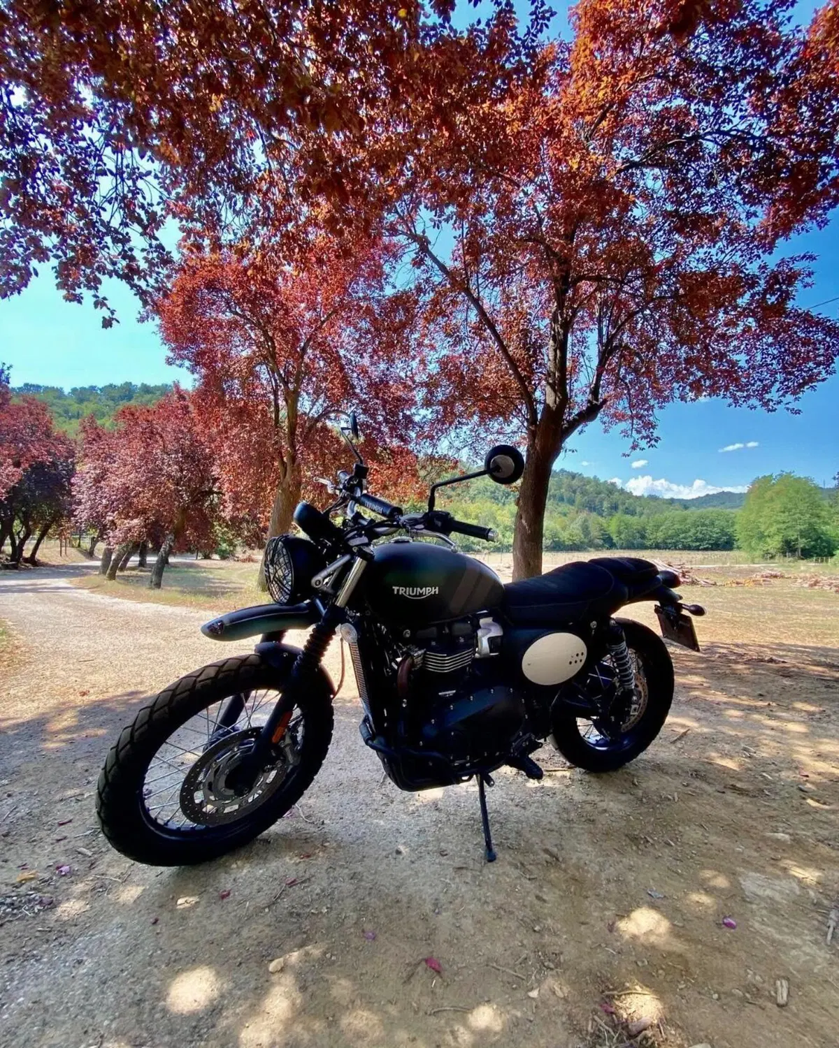 Triumph Street Scrambler 900 (2021 - 22) (7)