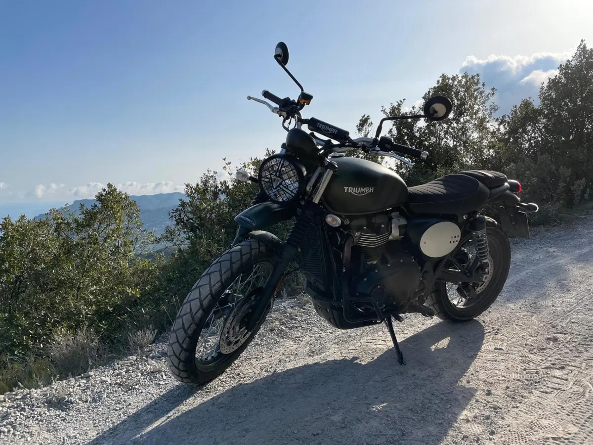 Triumph Street Scrambler 900 (2021 - 22) (10)