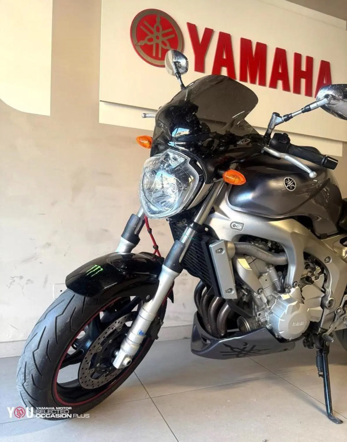 Yamaha FZ6 (2004 - 07) (6)