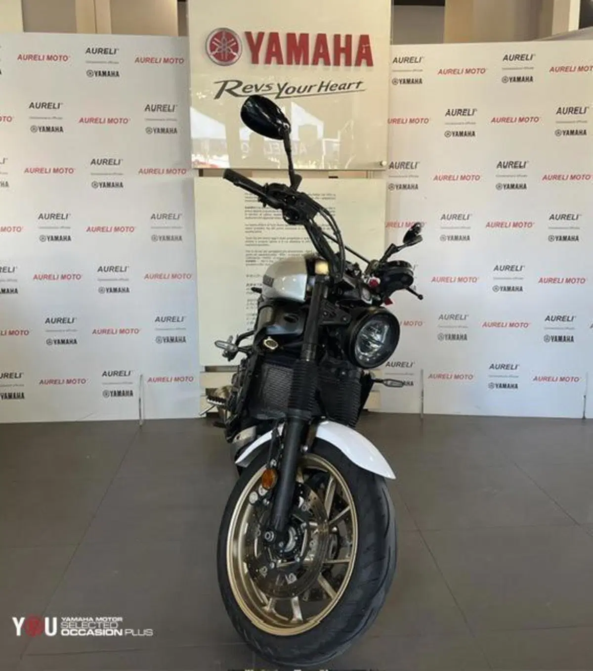 Yamaha XSR 700 Legacy (2023 - 26) (3)