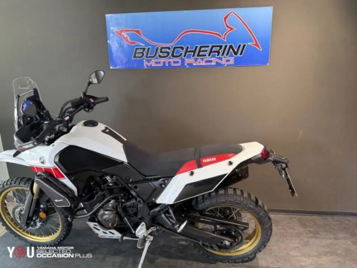 Yamaha Ténéré 700 Rally Edition (2022 - 24)