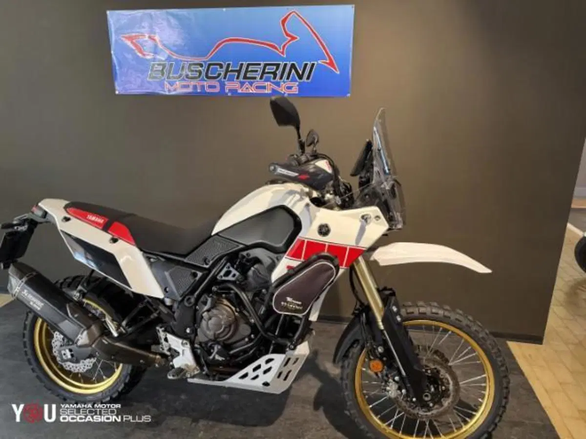 Yamaha Ténéré 700 Rally Edition (2022 - 24) (3)