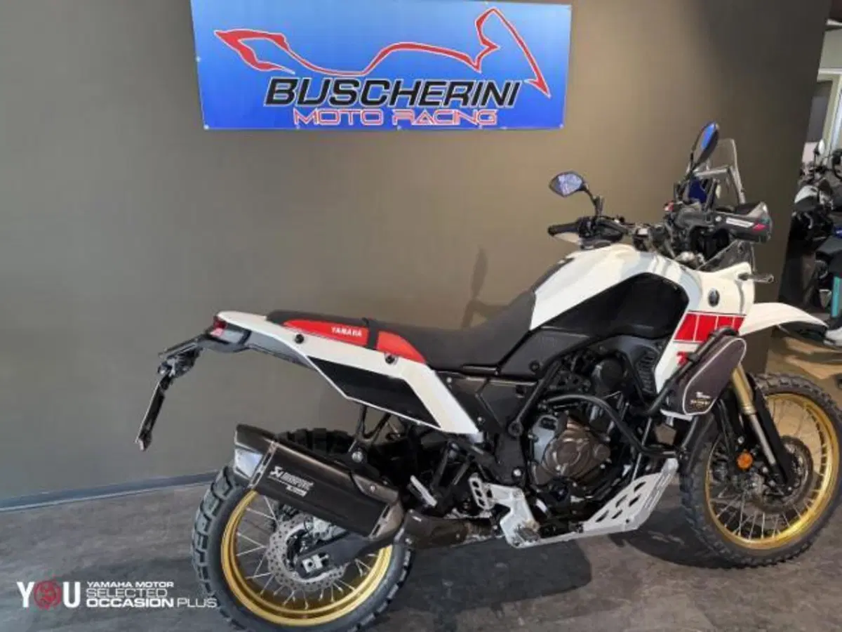 Yamaha Ténéré 700 Rally Edition (2022 - 24) (10)