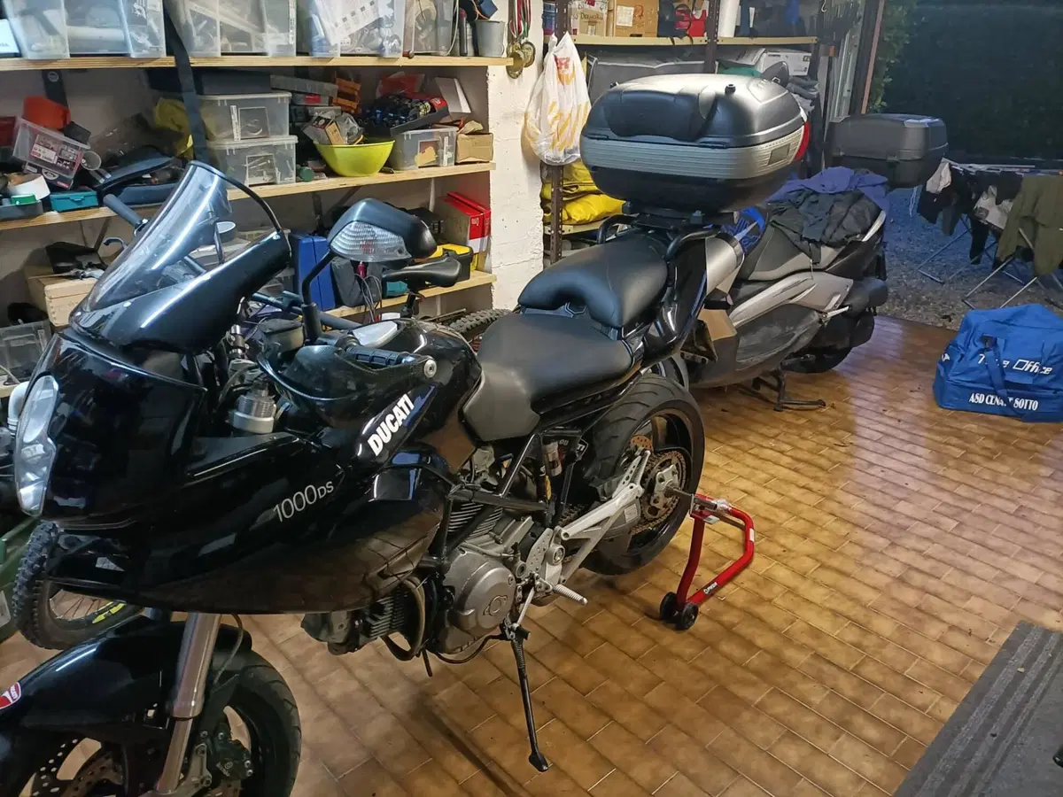 Ducati Multistrada 1000 DS (2003 - 06) (2)