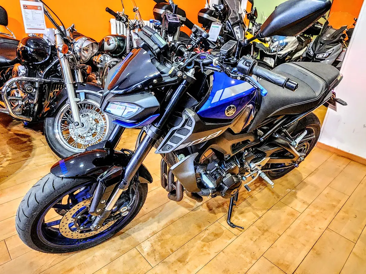 Yamaha MT-09 (2017 - 20) (19)