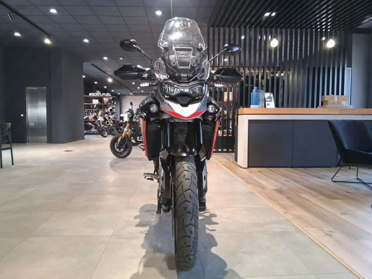 Triumph Tiger 900 GT Pro (2024 - 26) (3)