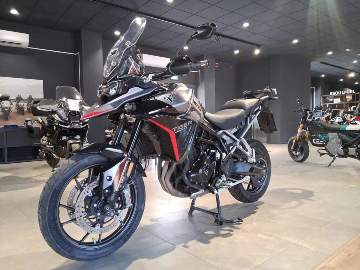 Triumph Tiger 900 GT Pro (2024 - 26) (4)