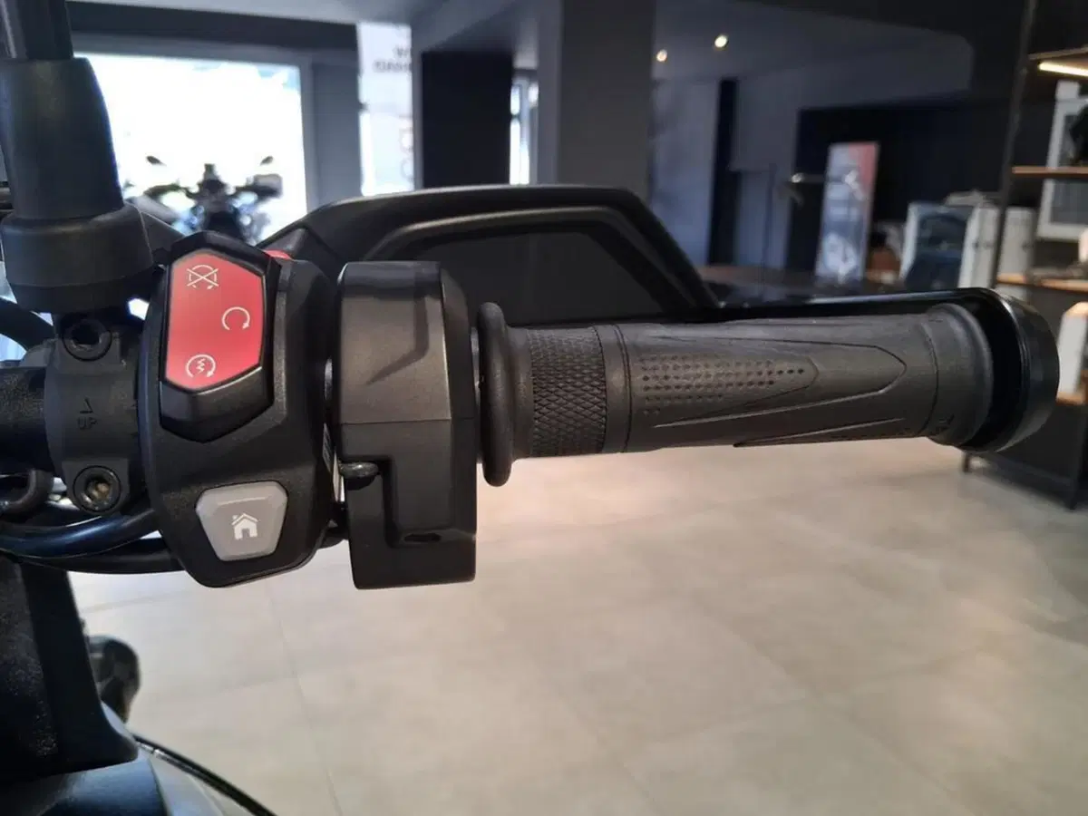 Triumph Tiger 900 GT Pro (2024 - 26) (11)