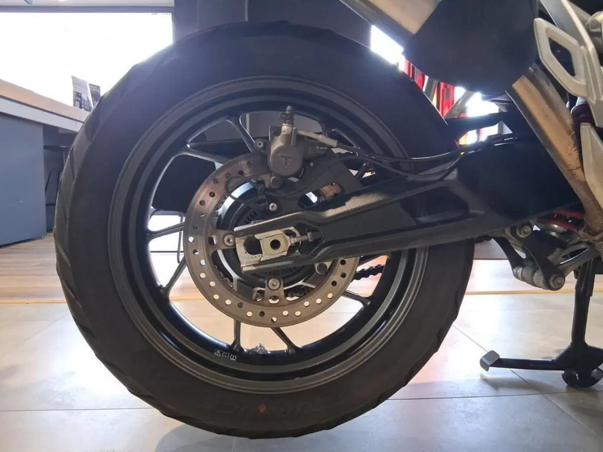 Triumph Tiger 900 GT Pro (2024 - 26) (12)