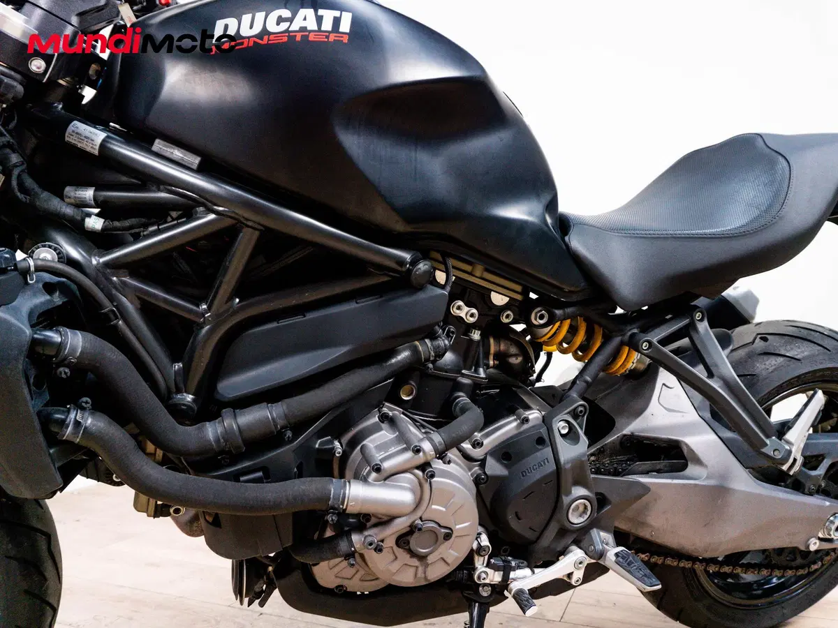 Ducati Monster 821 (2018 - 20) (6)