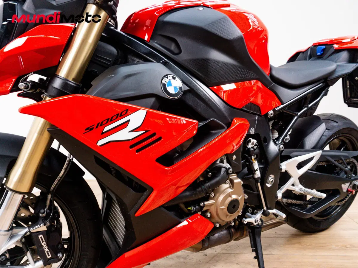 Bmw S 1000 R (2014 - 16) (9)