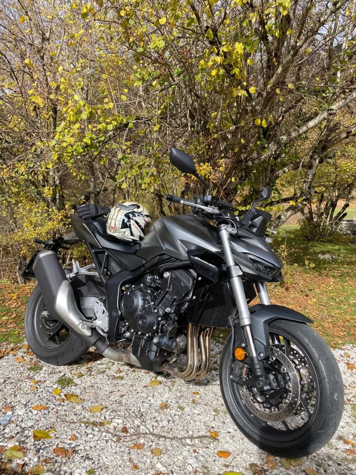 Honda CB 1000 Hornet (2025 - 26) (3)