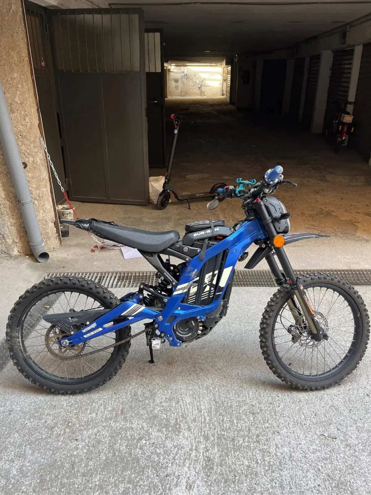 Sur - Ron Light Bee (2019 - 24)